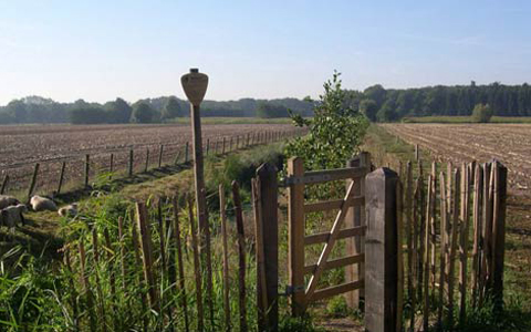 Opgeruimd-Leusden-Schutpad